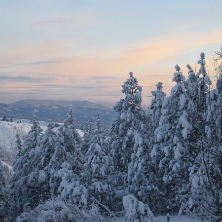 Whitebird Summit Lodge Grangeville Екстер'єр фото