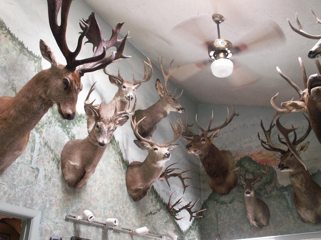 Whitebird Summit Lodge Grangeville Екстер'єр фото