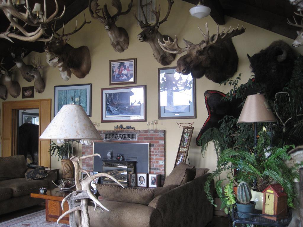 Whitebird Summit Lodge Grangeville Екстер'єр фото