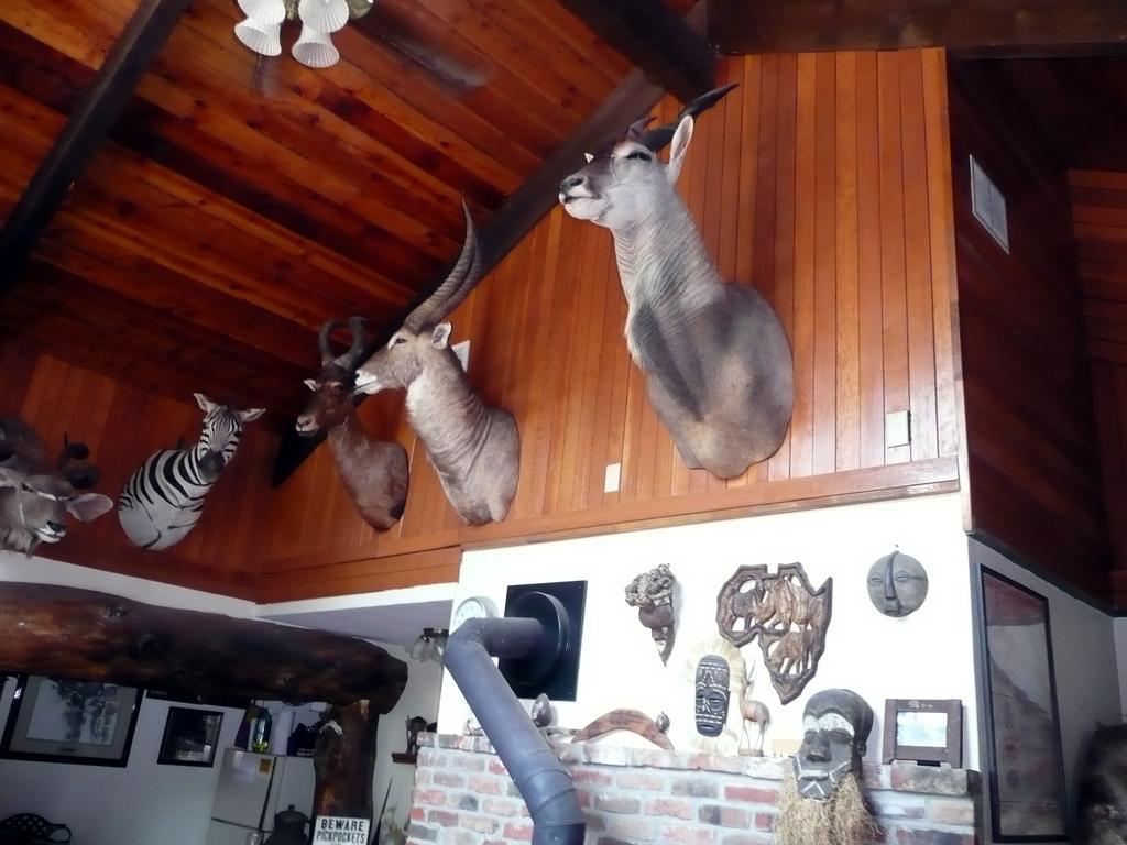 Whitebird Summit Lodge Grangeville Екстер'єр фото