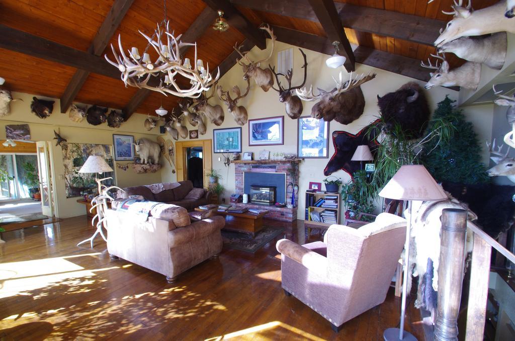 Whitebird Summit Lodge Grangeville Екстер'єр фото