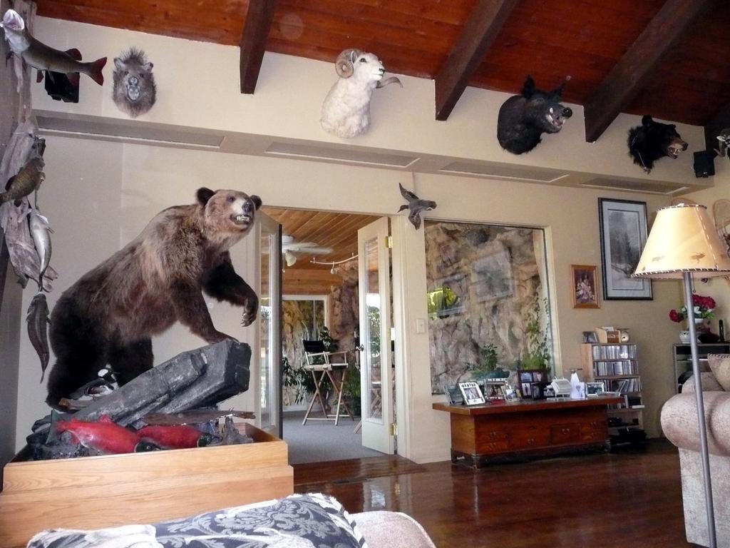 Whitebird Summit Lodge Grangeville Екстер'єр фото