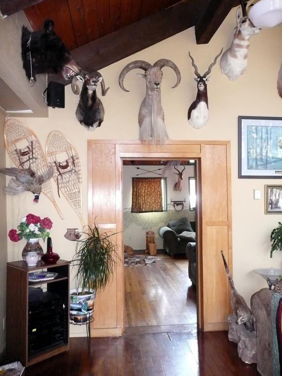 Whitebird Summit Lodge Grangeville Екстер'єр фото
