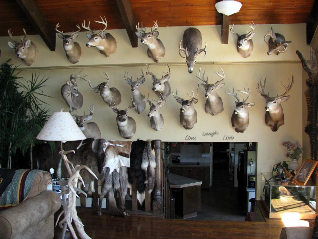 Whitebird Summit Lodge Grangeville Екстер'єр фото