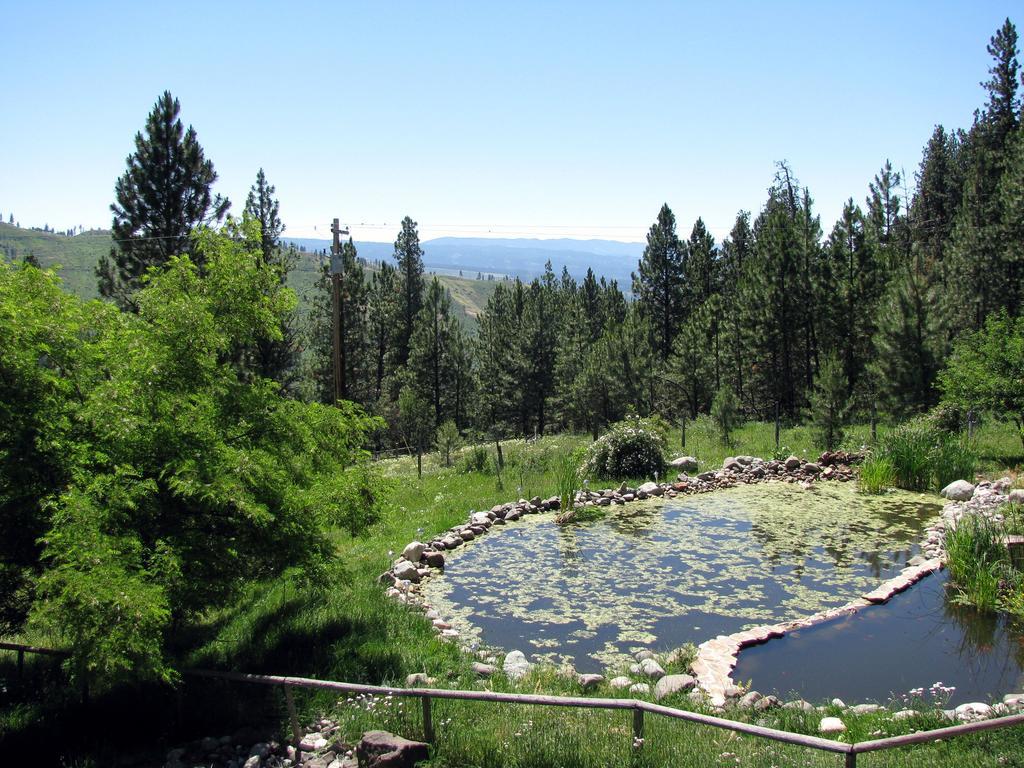 Whitebird Summit Lodge Grangeville Екстер'єр фото