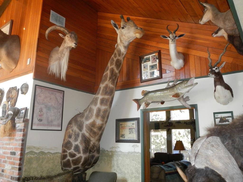 Whitebird Summit Lodge Grangeville Екстер'єр фото