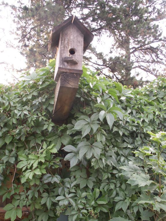 Whitebird Summit Lodge Grangeville Екстер'єр фото
